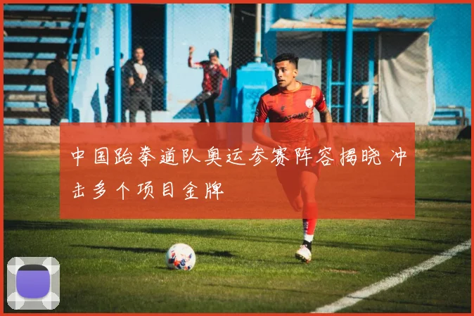 中国跆拳道队奥运参赛阵容揭晓 冲击多个项目金牌
