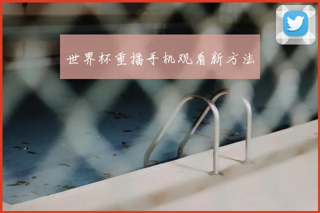 世界杯重播手机观看新方法