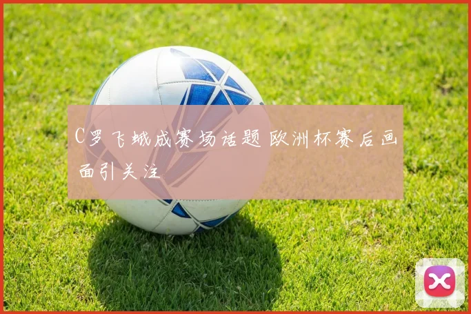 C罗飞蛾成赛场话题 欧洲杯赛后画面引关注