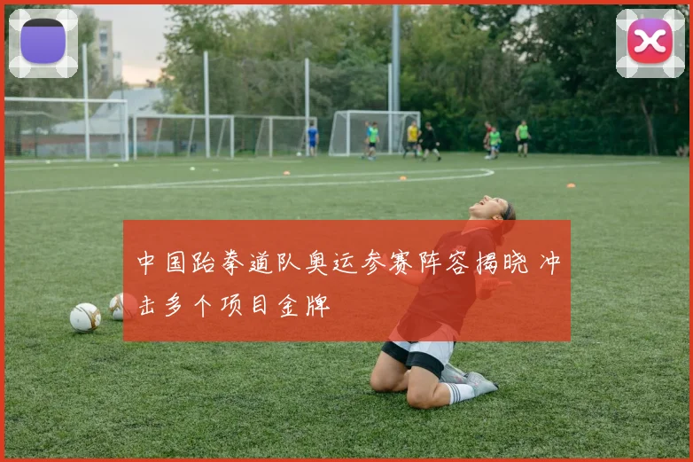 中国跆拳道队奥运参赛阵容揭晓 冲击多个项目金牌