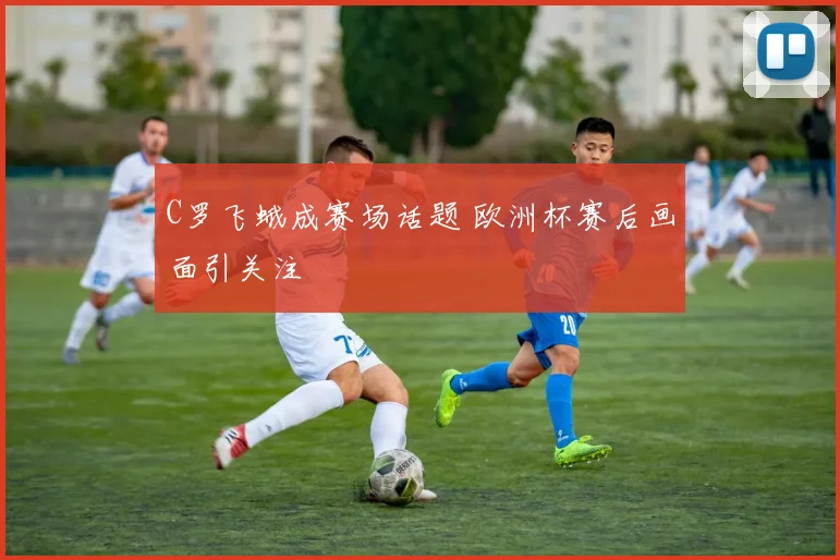 C罗飞蛾成赛场话题 欧洲杯赛后画面引关注