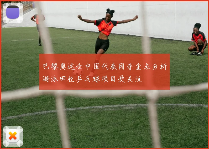 巴黎奥运会中国代表团夺金点分析游泳田径乒乓球项目受关注