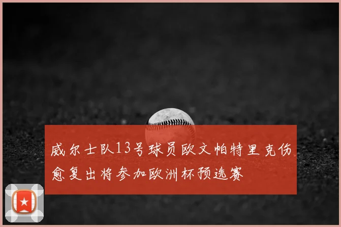 威尔士队13号球员欧文帕特里克伤愈复出将参加欧洲杯预选赛