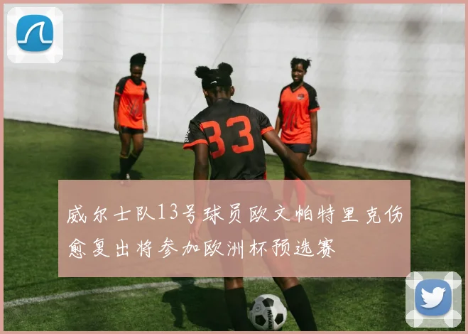 威尔士队13号球员欧文帕特里克伤愈复出将参加欧洲杯预选赛